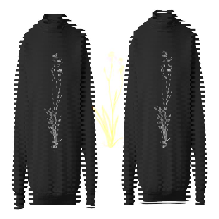 Albrecht Durerによるアイリス1503 スウェットシャツ