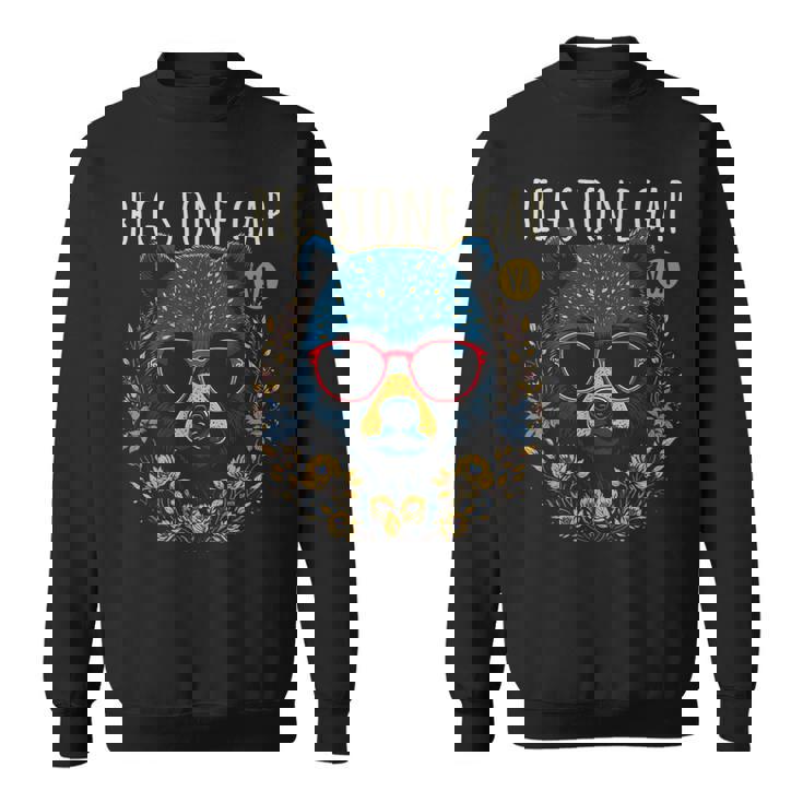 Bigtone Gapirginia Usa 風変わりなクマのデザイン スウェットシャツ