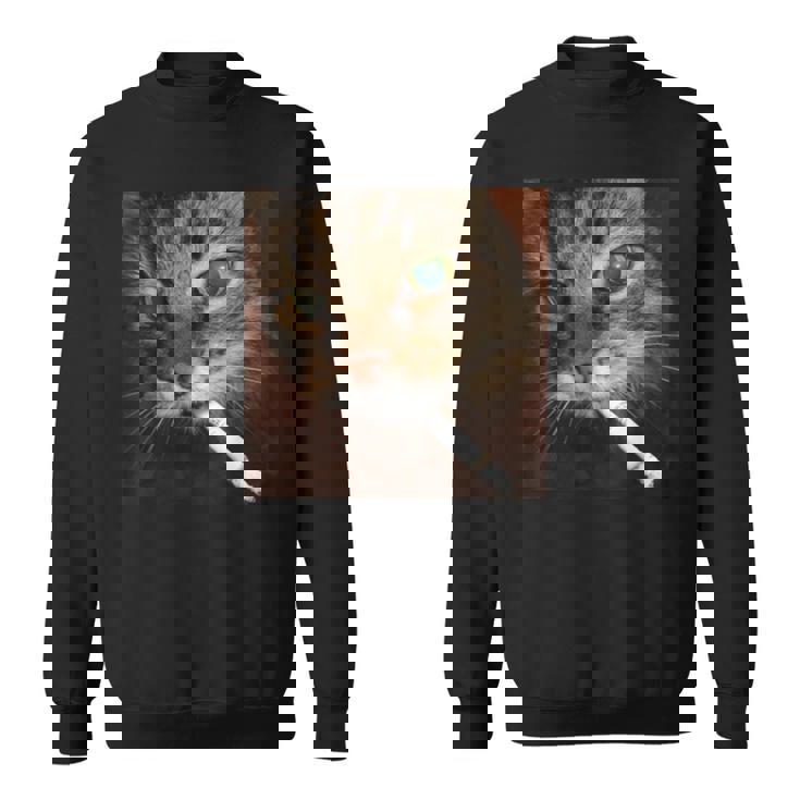 Cat Meme Cat Smoking Cigarette Sweatshirt