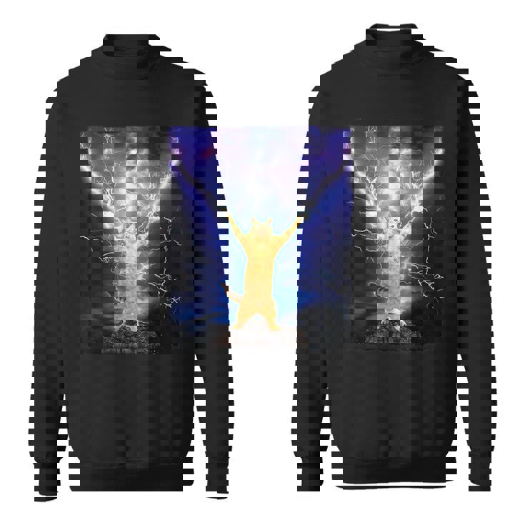 Cat Merch おかしな猫 稲妻 サンダーボルト オン マウンテン スウェットシャツ