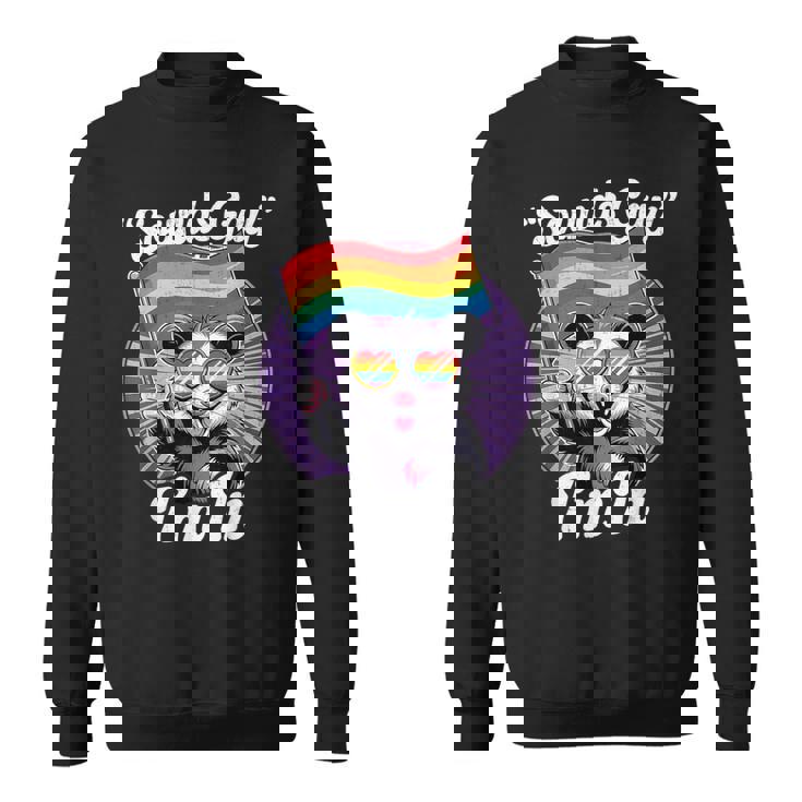 Cute Lgbtq Possum Holding Flag With Sounds Gay Quote Sweatshirt