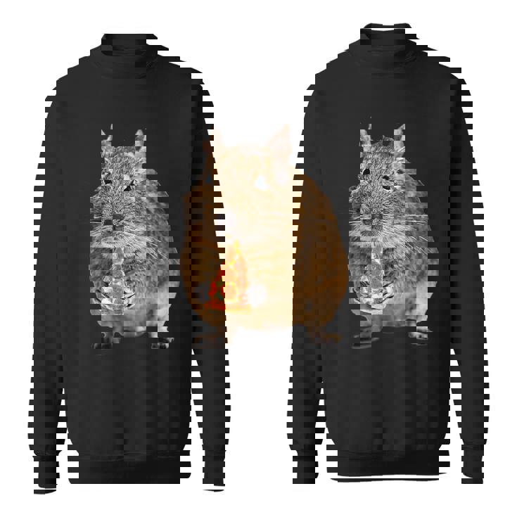 Degu Eating Alice Of Pizza スウェットシャツ