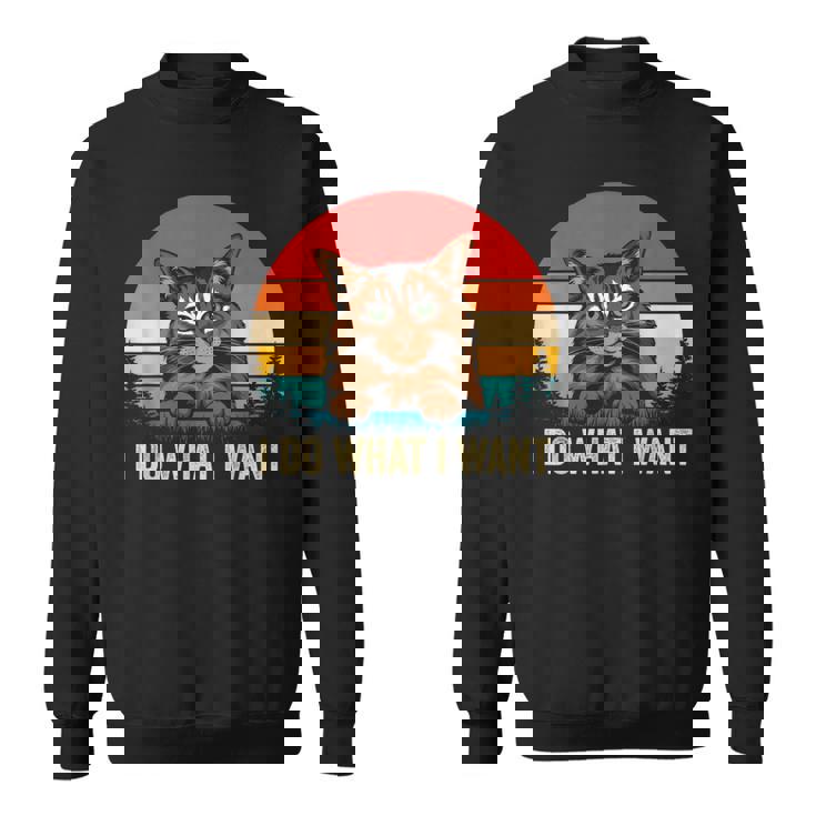 I Do What I Want Cat レトロ ヴィンテージ 面白い 猫好き スウェットシャツ