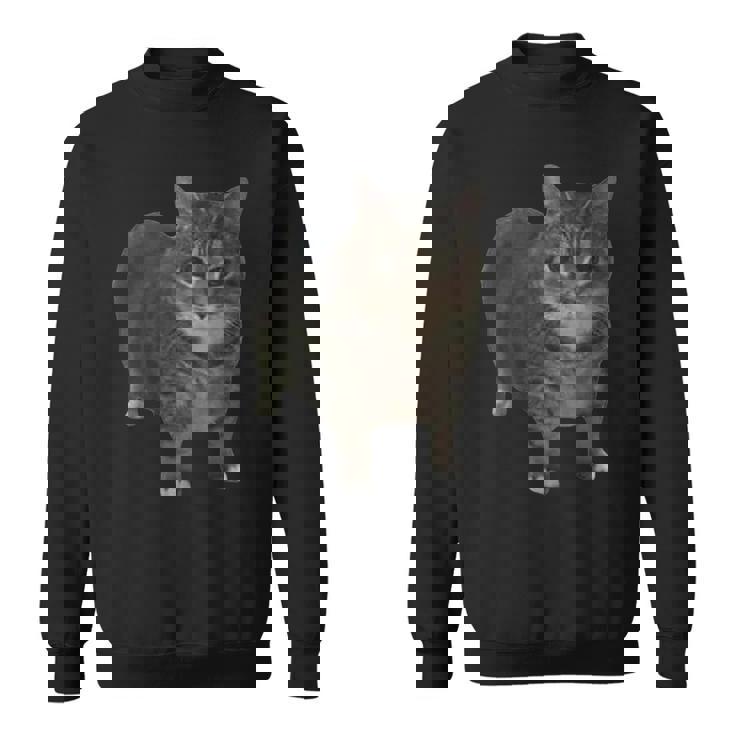 Oiia Oiia スピニングキャットミーム スウェットシャツ