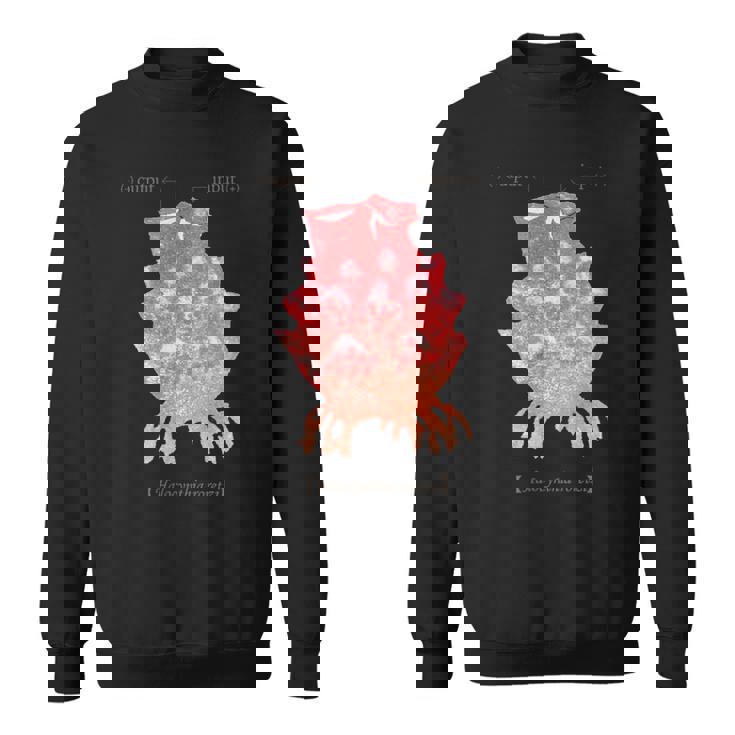 Hoya -海潮吹き- スウェットシャツ