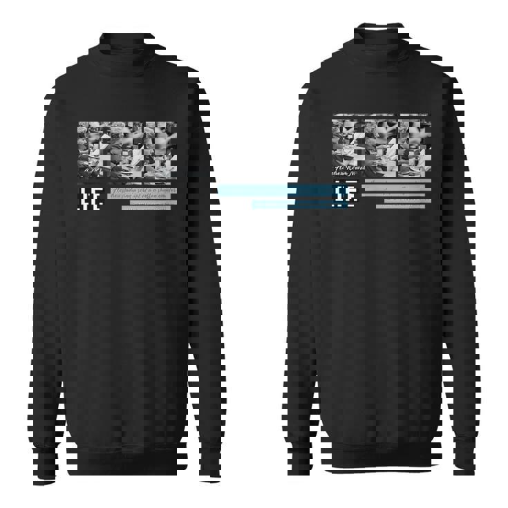 Life Picture Collection _ Kim Novak 01 スウェットシャツ