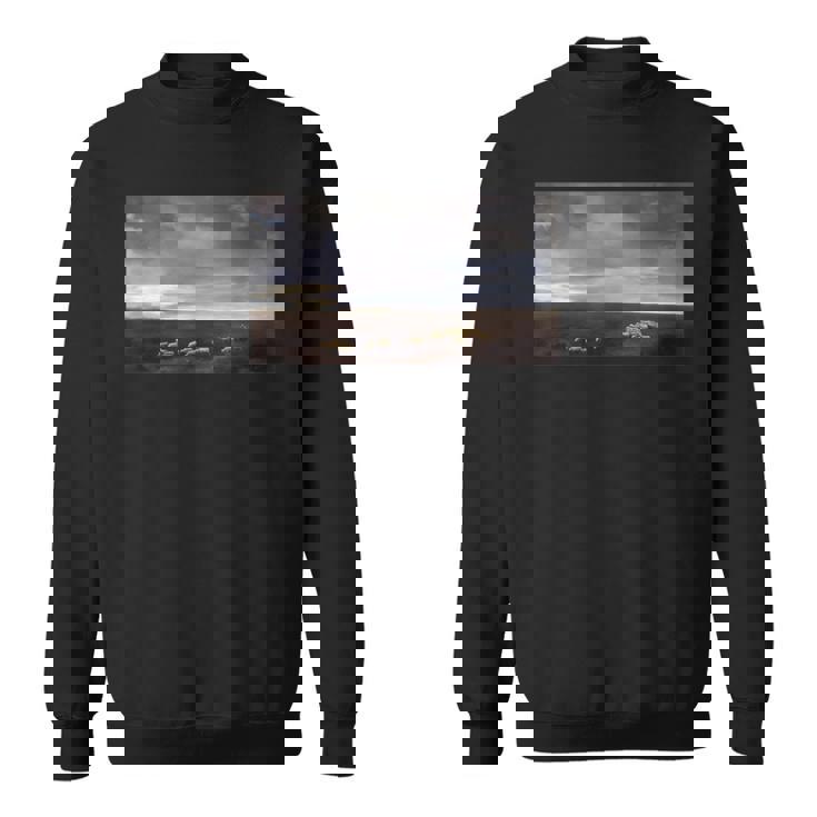 Lumen En Coelo コエロのルーメン ホセ・マリア・ベラスコ スウェットシャツ