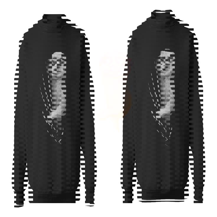 Meerkat Clothes キッズ ギフト アウトフィット ミーアキャット スウェットシャツ