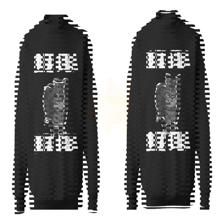 Oiia Oiia スピニング インターネット ミーム 猫 ユーモラス 面白い ブレイン スウェットシャツ