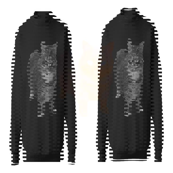 Oiia Oiia 猫 面白い 回転する猫 ミーム スウェットシャツ