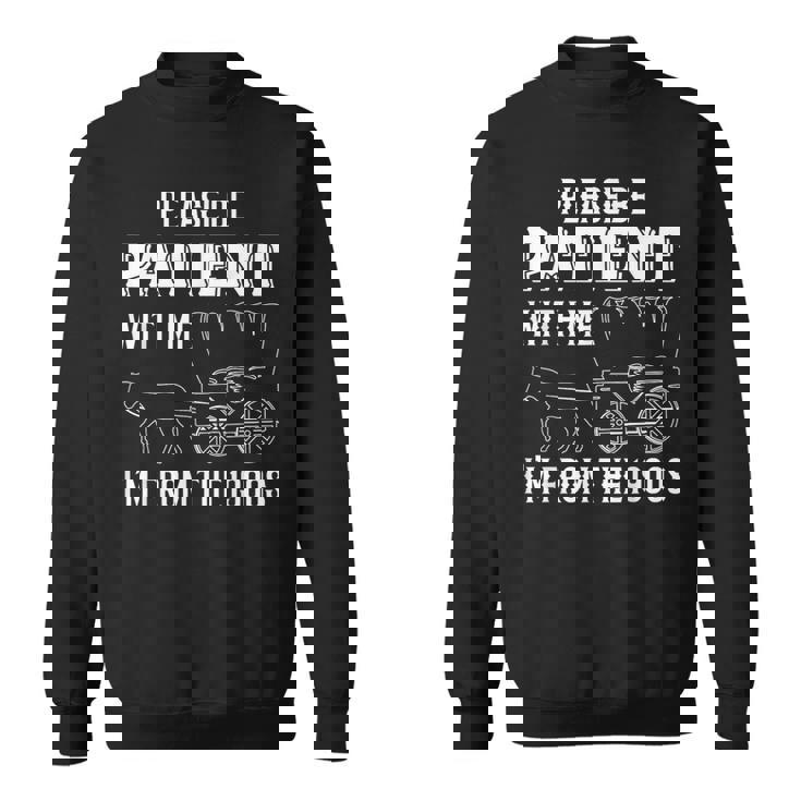 Please Be Patient With Me I'm From The 1900S 馬 スウェットシャツ