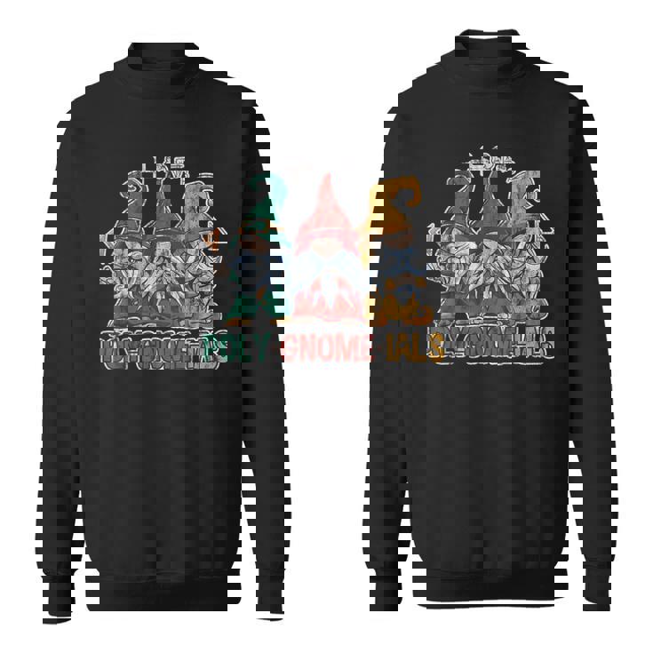 Poly Gnome Ials 数学のしゃれの代数学生 スウェットシャツ