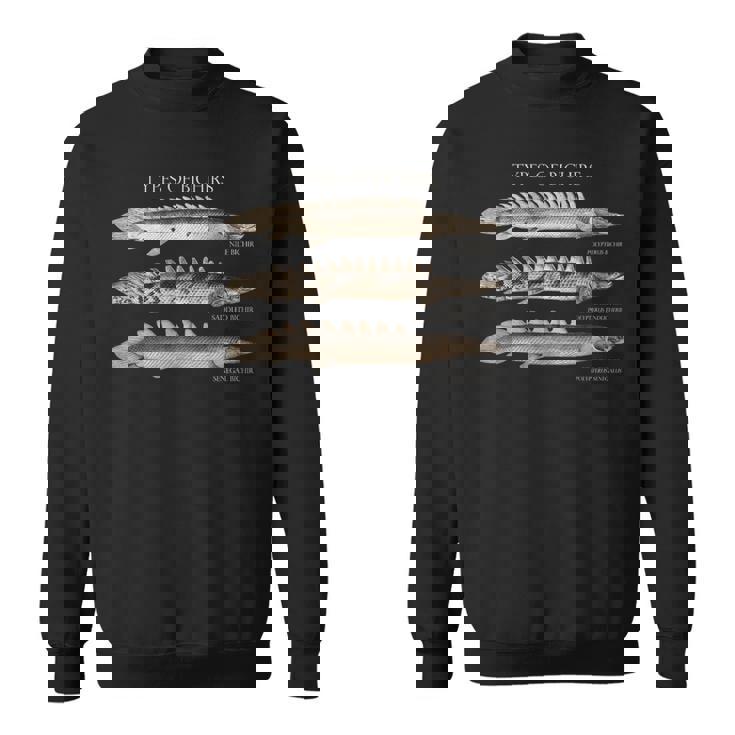 Polypterus Bichir ポリプテルスタイプ水族館フィッシュモンスターフィッシュキーパーアクアリストギフト スウェットシャツ