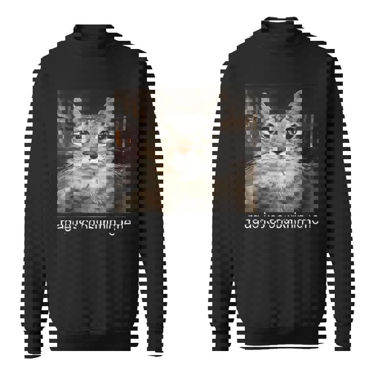 Rage Is Consuming Me 愚かな凝視猫ミーム スウェットシャツ