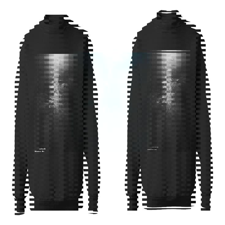 Silent Awakening スウェットシャツ