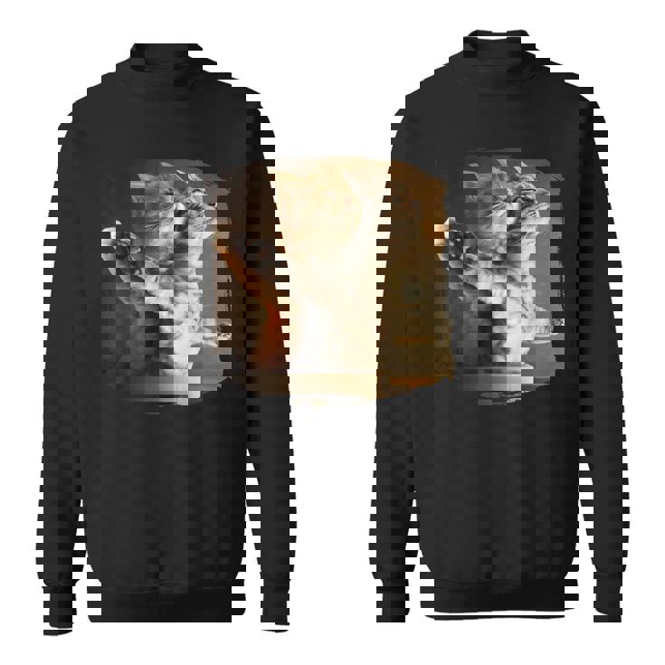 TitaniCムービーにインスパイアされた面白い猫好きのミーム。 スウェットシャツ