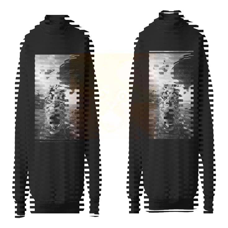 Ufo Extraterrestre Chat Amusantelfie Amoureux Des Chats Effrayésaisseaupatial Ovni Sweater e