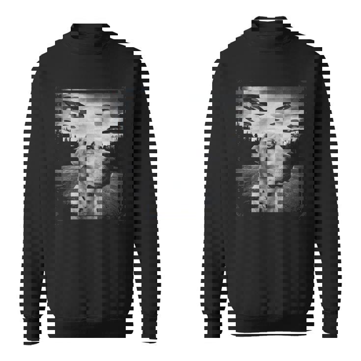 Ufo 遭遇 黄色 実験犬 自撮り 写真 エイリアンの侵略 スウェットシャツ