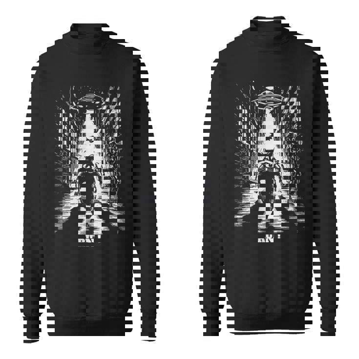 Ufoから逃げるアライグマ、Sfユーモア、エイリアンに追われる スウェットシャツ