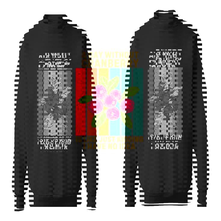 Vintage A Day Without Cranberry I Have No Idea クランベリー スウェットシャツ