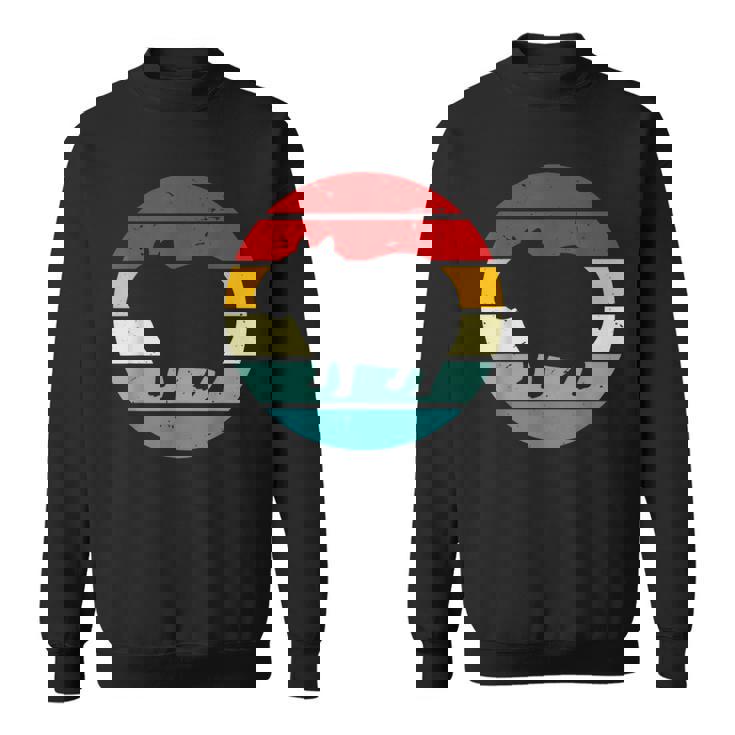 Vintage Retrounset Capybara スウェットシャツ