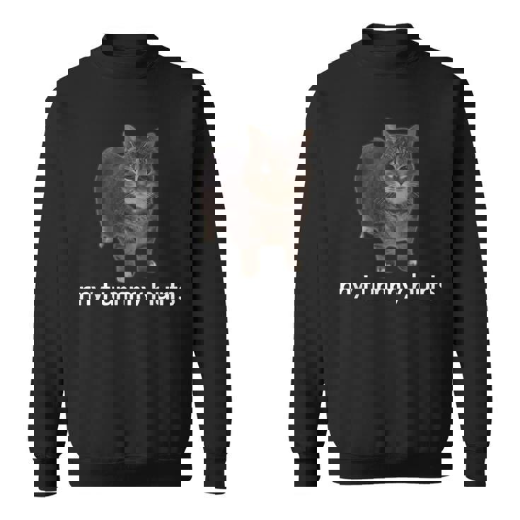 お腹が痛い面白いオイイア・オイア・キャット・ミーム スウェットシャツ