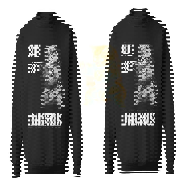 かわいいけど危険な空手 面白い テコンドー 猫 格闘技 スウェットシャツ