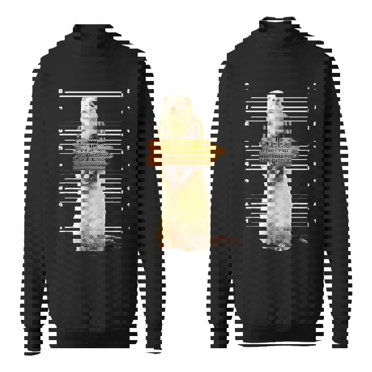 かわいいフェレット泥棒 面白い動物 スウェットシャツ