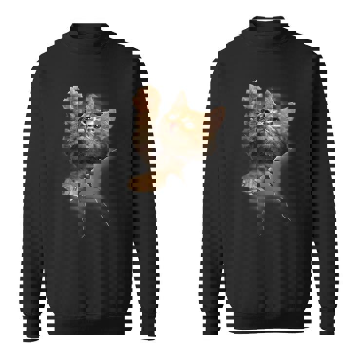 かわいい猫風 スウェットシャツ