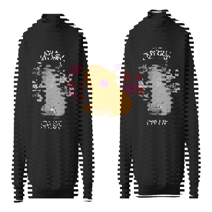 げっ歯類 面白いカピバラ カピバラアート メンズ レディース キッズ スウェットシャツ