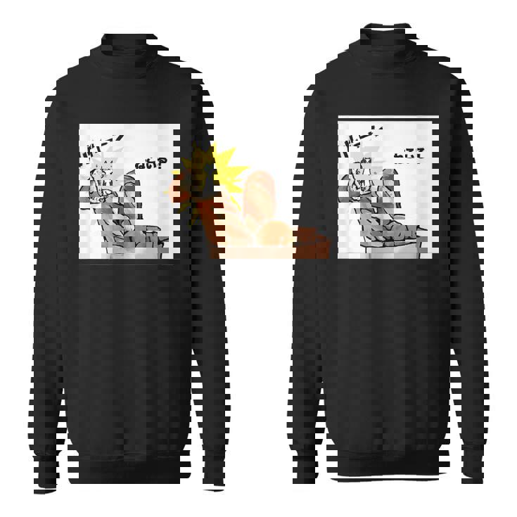 ねこいる！ババーン スウェットシャツ