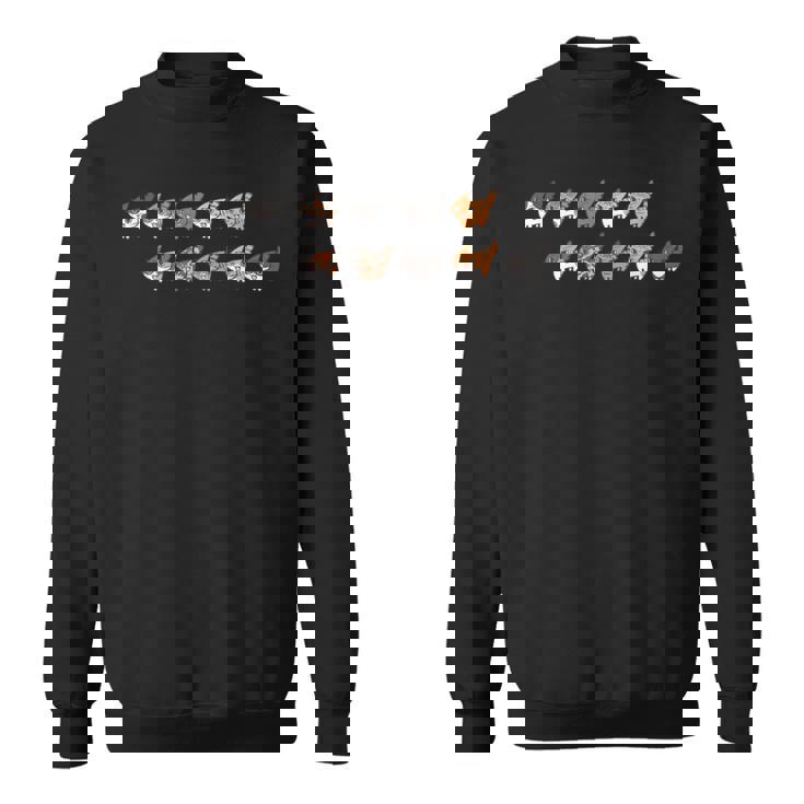 ねこシャー×１０ スウェットシャツ