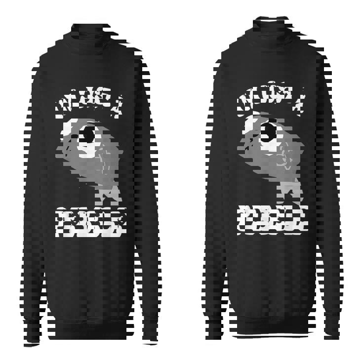 アイム・ジャスト・ア・ペブル・ダンディーズ・ワールド スウェットシャツ