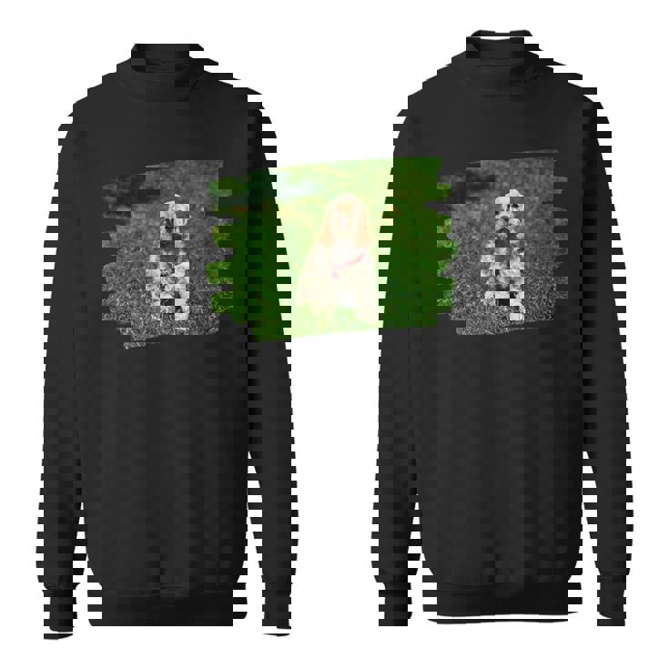 アメリカンコッカースパニエル 子犬 犬好き スウェットシャツ