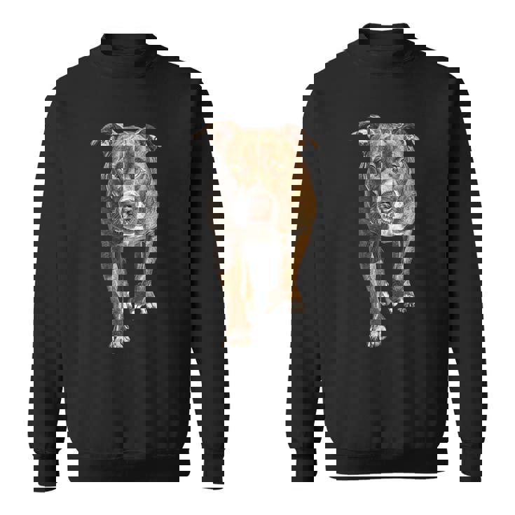 アメリカンピットブルテリア スウェットシャツ