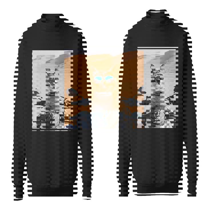 アラビア砂漠でサングラスをかけた猫、ドバイにマッチ。 スウェットシャツ