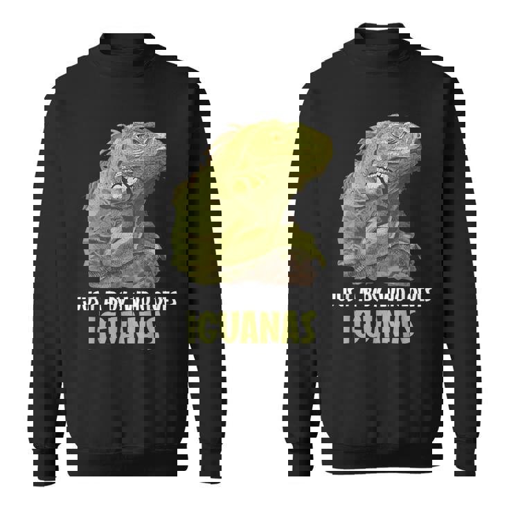 イグアナ・イグアナが大好きな男の子だけ。 スウェットシャツ