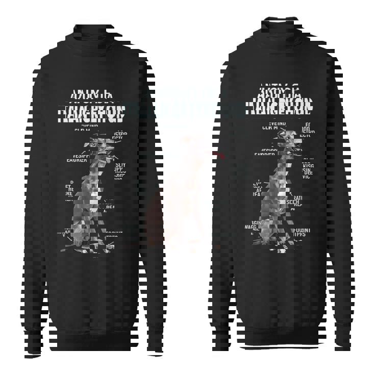 イタリアングレイハウンドの解剖学 スウェットシャツ