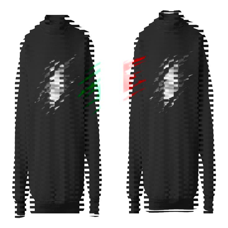 イタリア国旗 トリコロール イタリアバナー スウェットシャツ