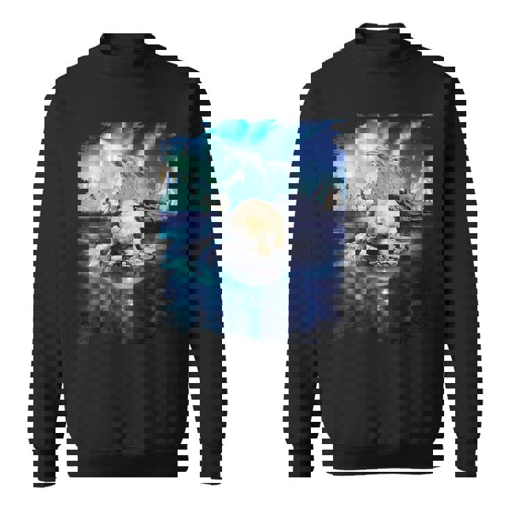 イルカと北のシロクマ、ライトとイルカ スウェットシャツ