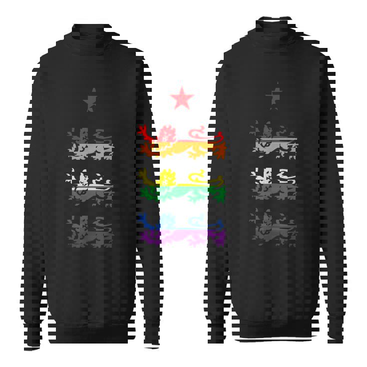 イングランド スリーレインボー プライド 紋章ライオンズ サッカー フットボール スウェットシャツ