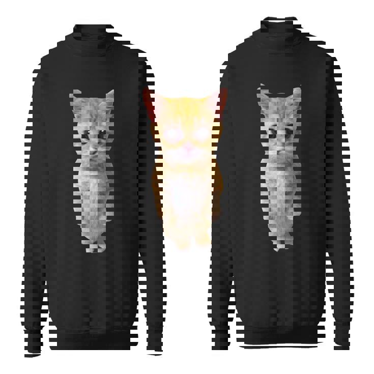エルガト ミーム 悲しい泣き猫 マンチキン キティ ミーム トレンディ スウェットシャツ