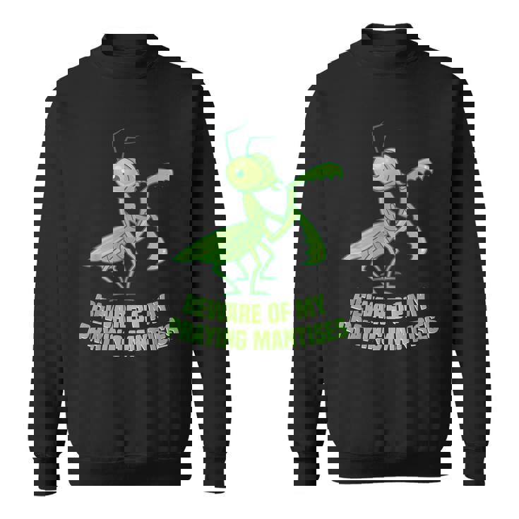 カマキリの囲い衣装 虫飼い主 カマキリの卵 スウェットシャツ