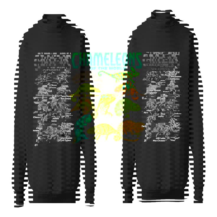 カメレオンズ・オブ・ザ・ワールド 知育爬虫類 トカゲ好き スウェットシャツ