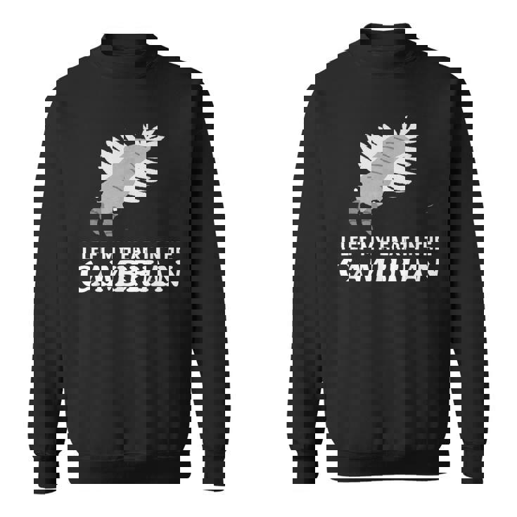 カンブリア紀の面白いアノマロカリス・パレオに心を残した スウェットシャツ