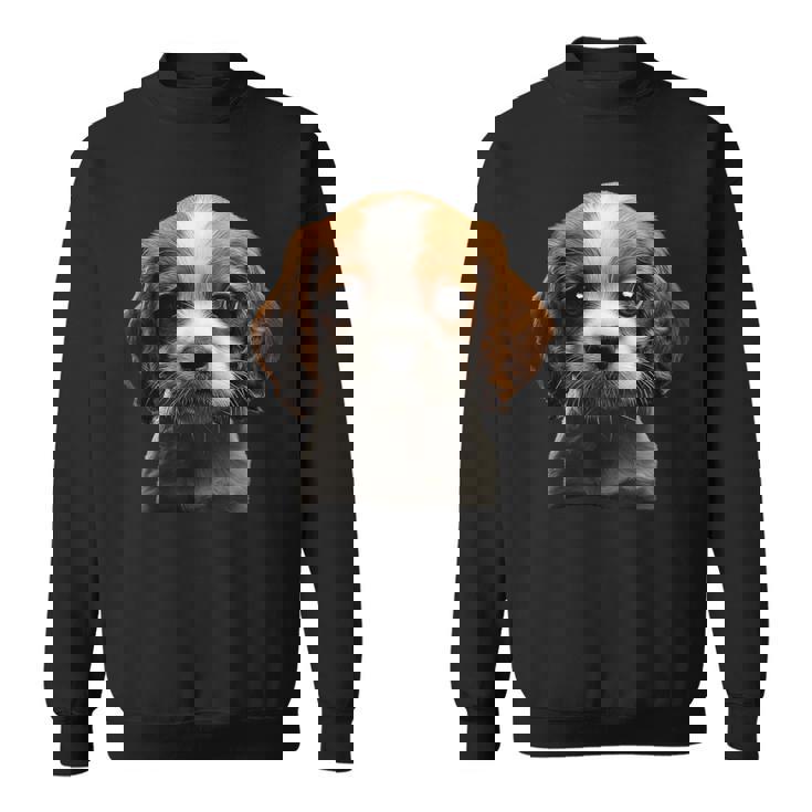 キャバリアキングチャールズスパニエル子犬 スウェットシャツ