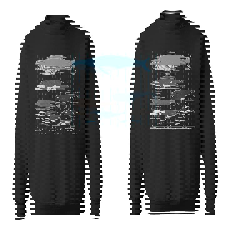 クジラの種類 スウェットシャツ
