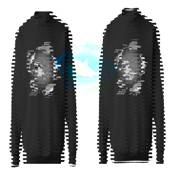 サメ6種 サメタイプ サメ 海の生き物 メガロドン サメ スウェットシャツ