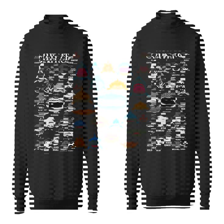 サメの種類 面白いサメの顔 サメの恋人 キッズ 先生 スウェットシャツ