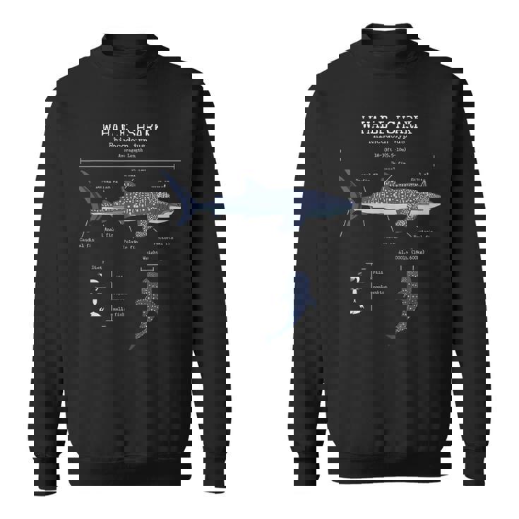 ジンベイザメ 解剖学 メンズ レディース キッズ ジンベイザメ スウェットシャツ